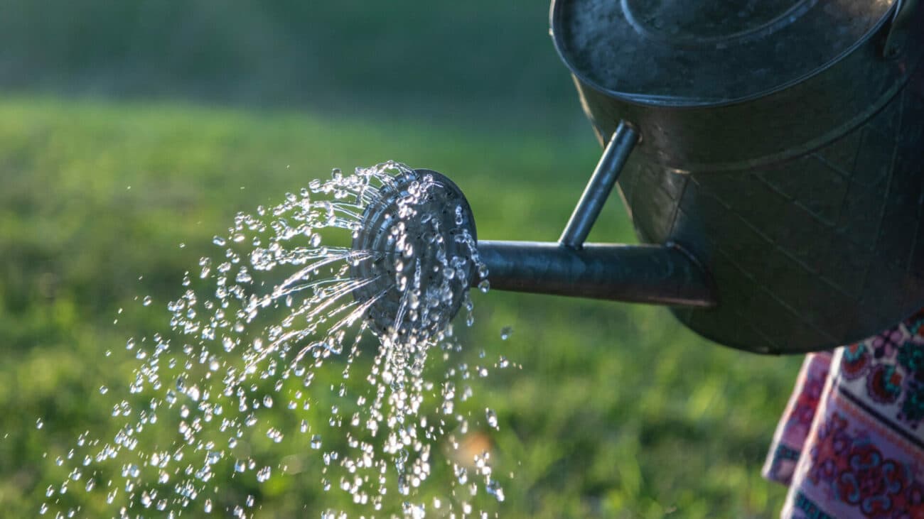 Watering Tips and Tricks