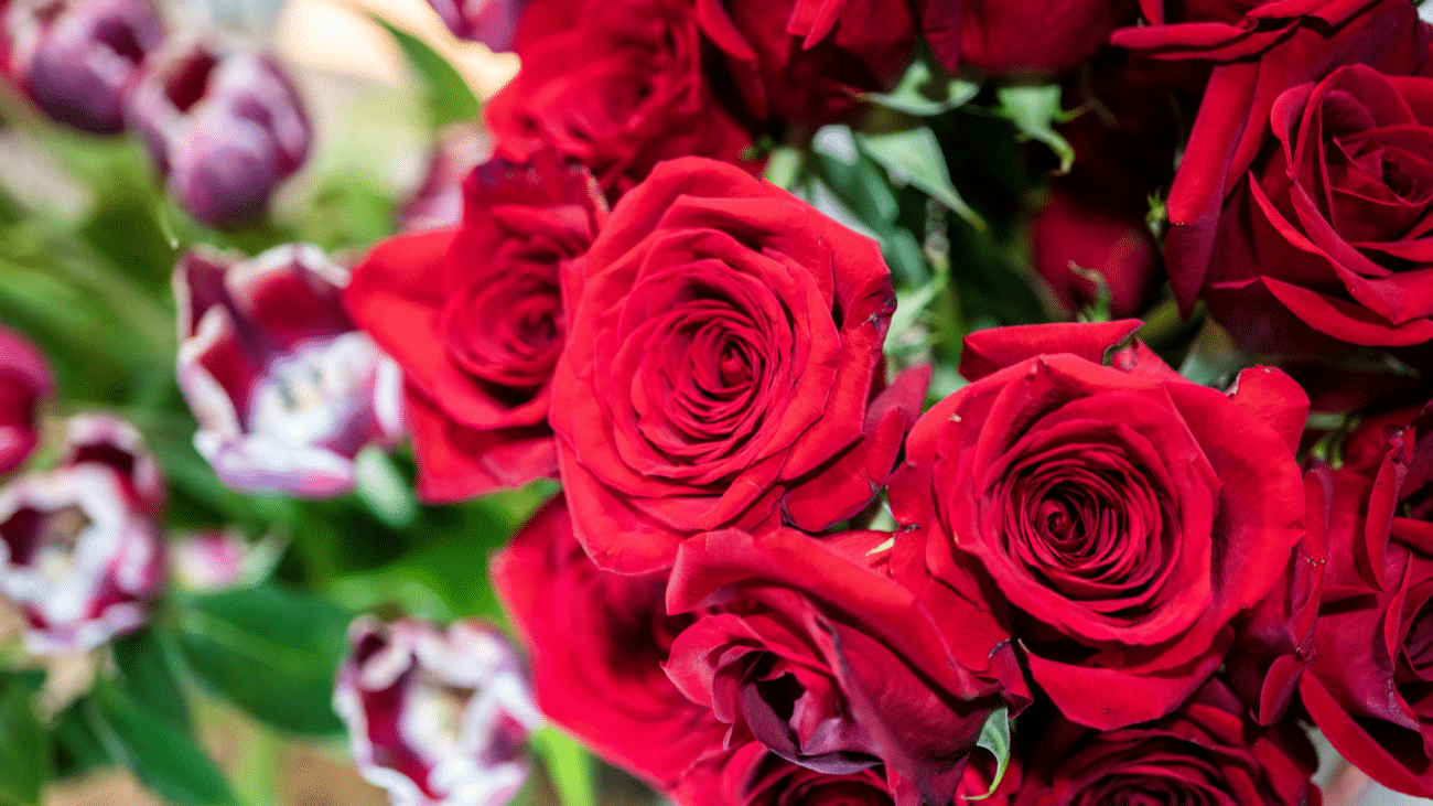 Valentine's Day