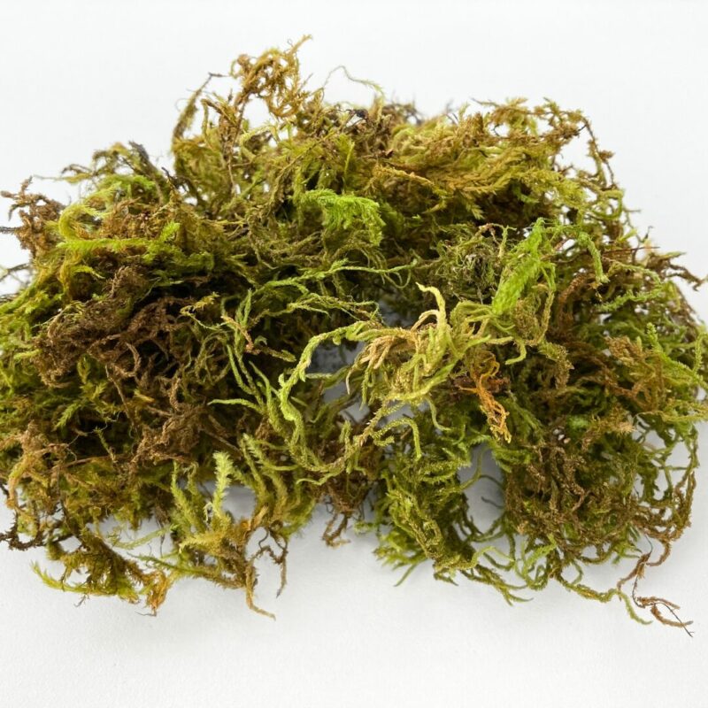 Natural Dry Moss Natural Dry Moss in 80g pack for terrariums, soil blends, and decorative topdressing.