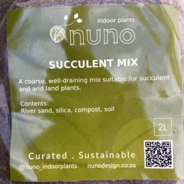 Succulent Mix 2L - Image 2