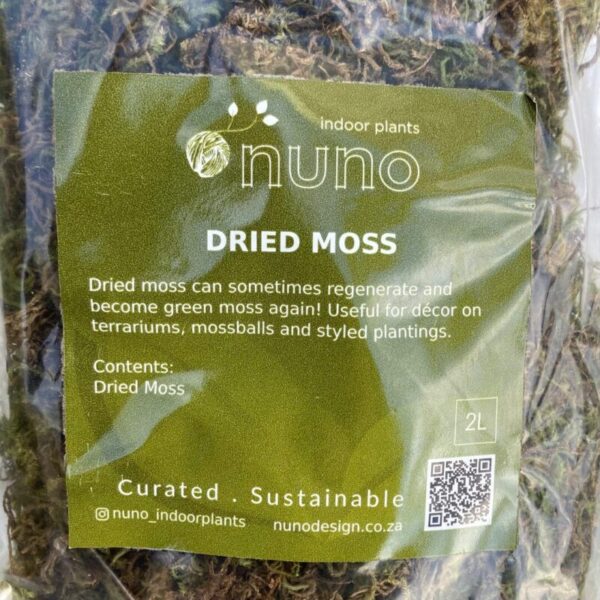 Natural Dry Moss (80g) - Image 2