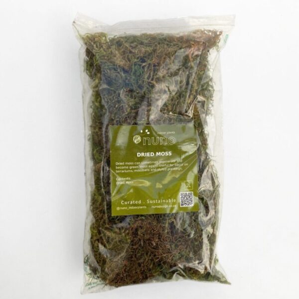 Natural Dry Moss (80g) - Image 3