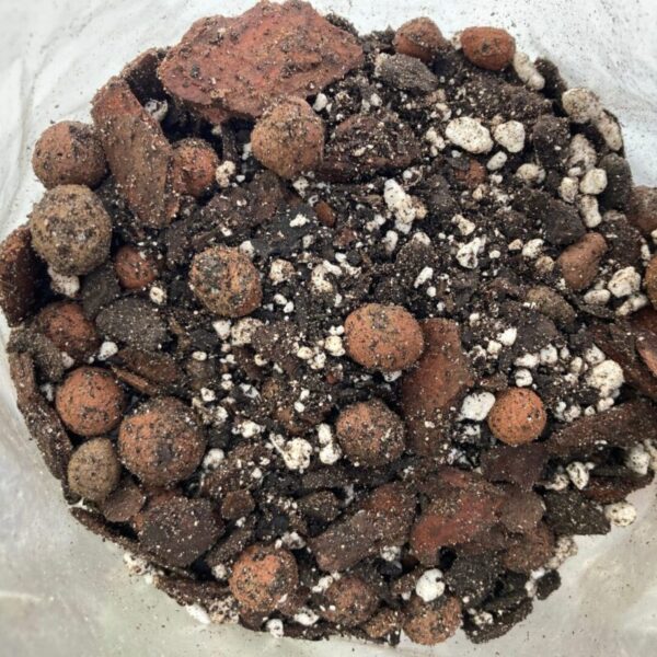 Orchid Mix 2L - Image 2