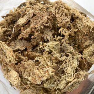 Bag of Spagnum Moss (2L) for terrariums, propagation, and soil mixing.