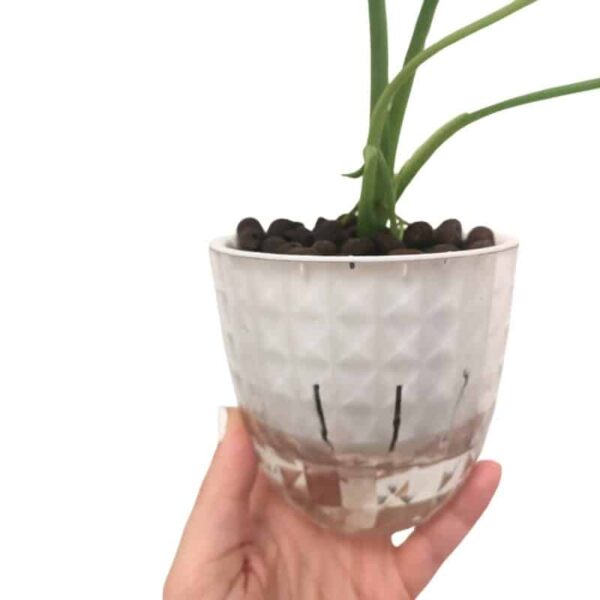 Small Diamond Self-Watering Pot - Image 2