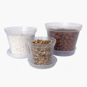 Transparent tray designed for clear planting pots.