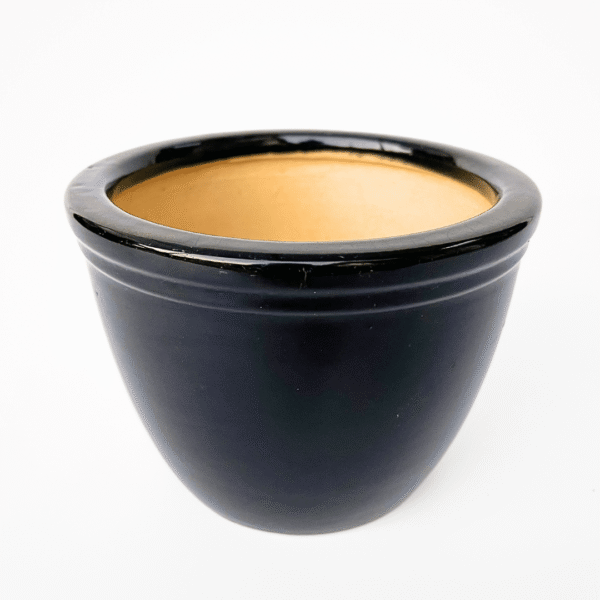 Ceramic Black Cover Pot | Glossy Contemporary Finish | Ideal for Indoor Plants - Image 2