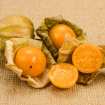 Organic Cape Gooseberry Seeds