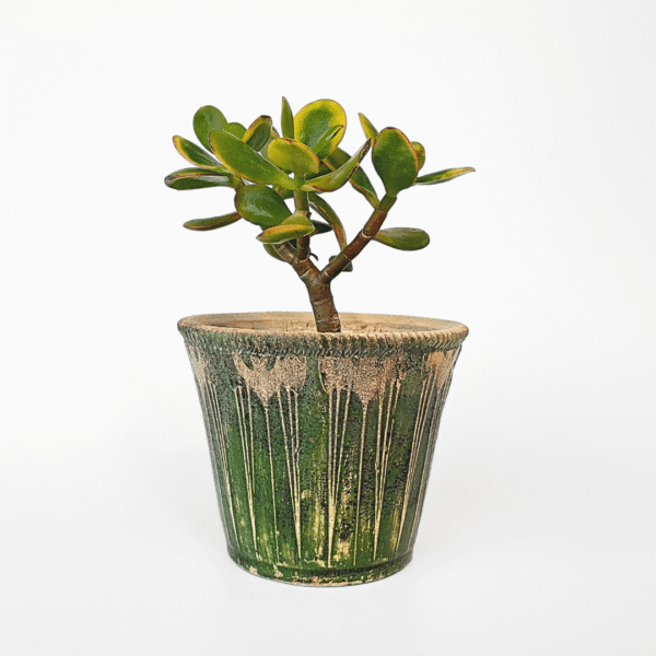 Rustic Ceramic Pot - Image 5