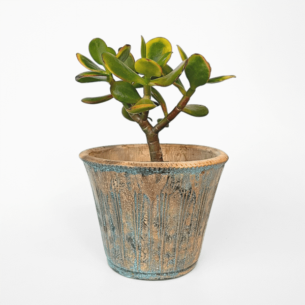 Rustic Ceramic Pot - Image 4