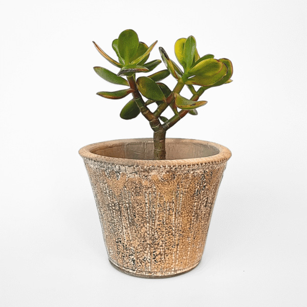 Rustic Ceramic Pot - Image 2