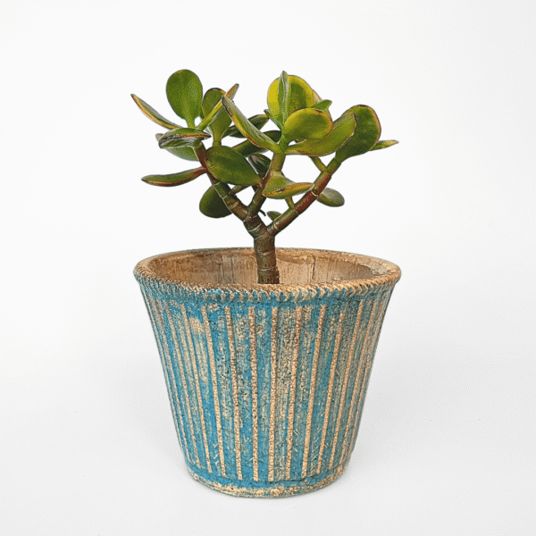 Rustic Ceramic Pot - Image 3