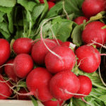 Organic Radish Seeds