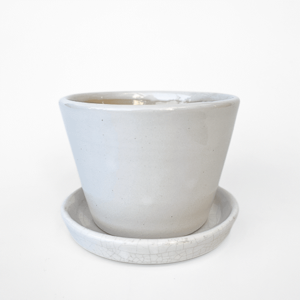 White Ceramic Pot & Tray | Minimalist Design | Ideal for Indoor Plants - Image 2