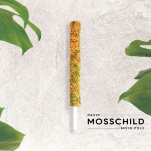 Self-watering Sphagnum Moss Pole