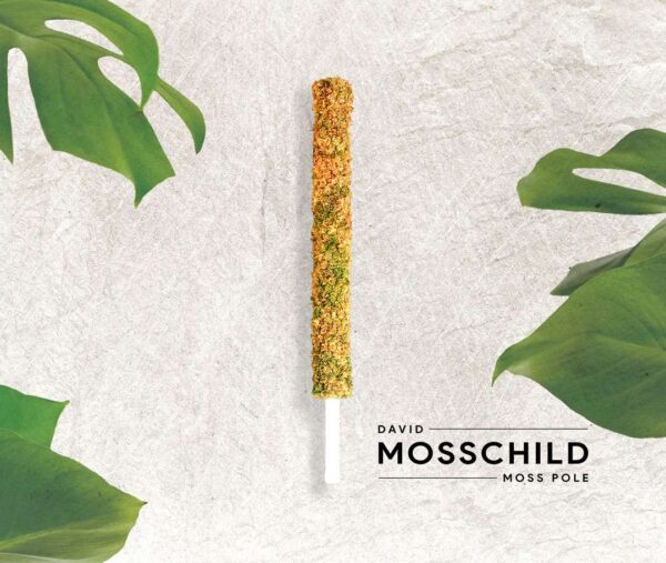 Self-watering Sphagnum Moss Pole