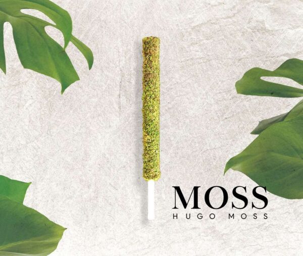 Traditional Hypnum Moss Pole (3 sizes) | Neutral pH Support | Ideal for Climbing Plants - Image 2