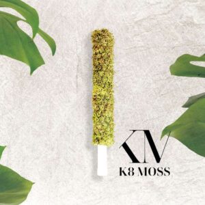 Traditional Hypnum Moss Pole made with hand-selected preserved moss.