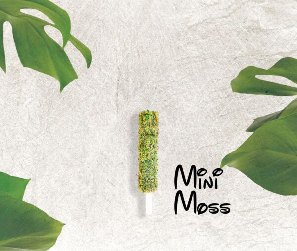 Traditional Hypnum Moss Pole (3 sizes) | Neutral pH Support | Ideal for Climbing Plants - Image 3