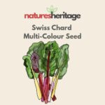 Organic Swiss Chard Seeds