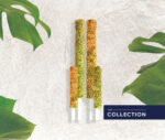 Moss Pole Collection with self-watering and traditional designs