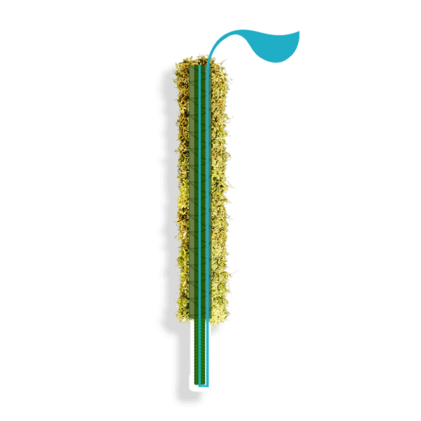 Moss Pole Collection | Self-Watering & Traditional Mix | Ideal for Supporting Climbing Plants - Image 2