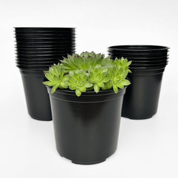 Round Plastic Pots Black | Thermoformed Plant Containers | Ideal for Nurseries & Large-Scale Planting - Image 4