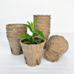 Round biodegradable Jiffy Pots for seed starting, propagation, and eco-friendly transplanting.