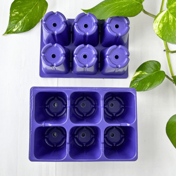 Seedling Tray 6 Cavity | 5 Pack | Durable Propagation Trays for Healthy Seedling Growth - Image 3