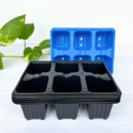 6 cavity seedling tray in durable plastic, 5-pack bundle, for propagation and seed starting.