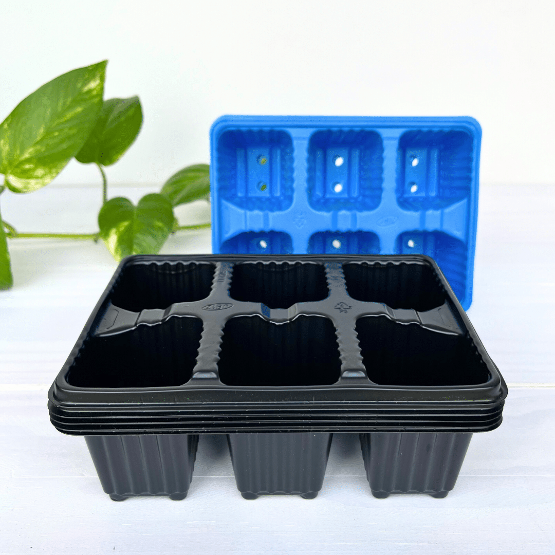 Seedling Tray 6 Cavity 6 cavity seedling tray in durable plastic, 5-pack bundle, for propagation and seed starting.