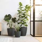 san remo pot
