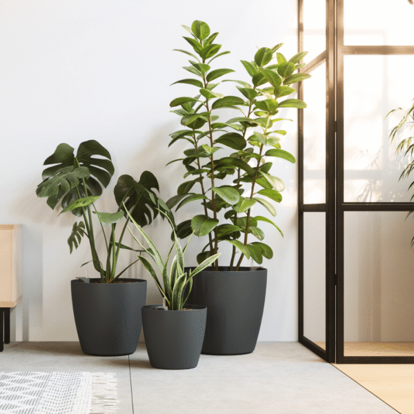 san remo pot