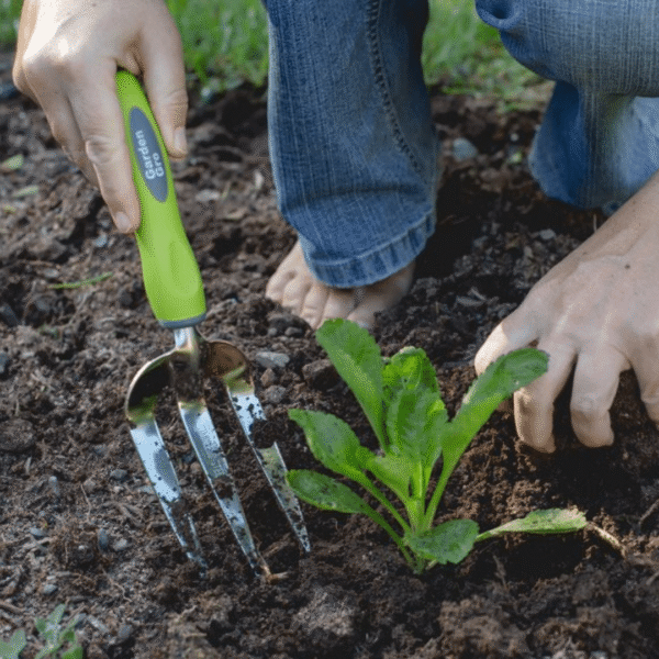Garden Gro Stainless Steel Weeding Hand Fork - Image 2