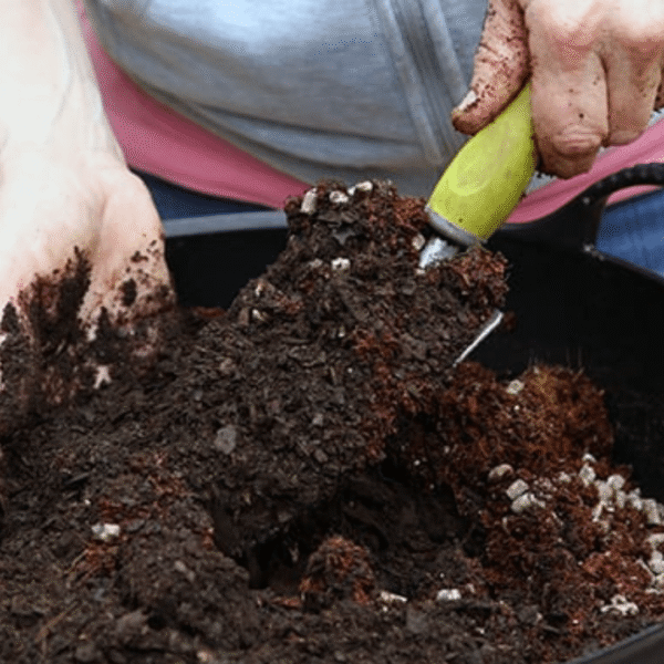 Hand Trowel