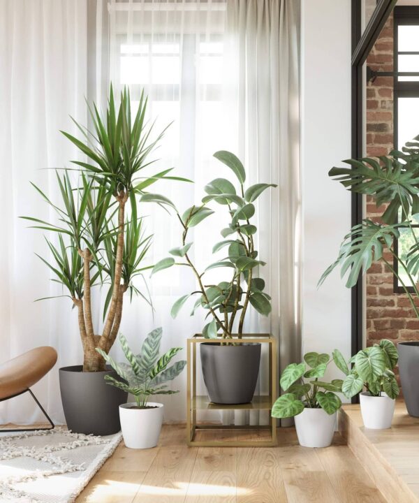 Artevasi San Remo Pot Matte - Modern and Elegant - Image 6
