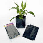 Black lightweight plastic nursery bags in 2.5L and 6L sizes, sold in 10 packs for plant propagation and growing.