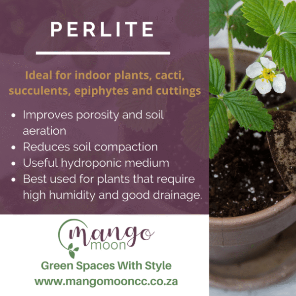 Perlite - 500g - Image 3