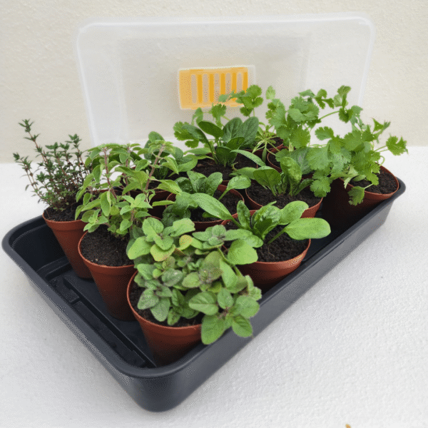Good Roots Unheated Propagator - Image 2