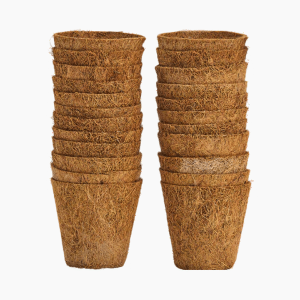 Good Roots Fibre Pots 8cm round - 24 pack - Image 2