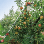 Good Roots Telescopic Fruit Picker
