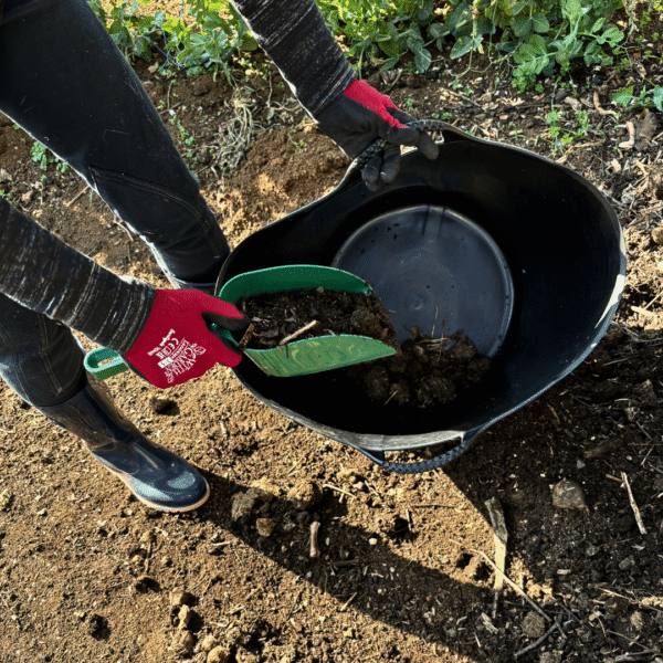 Good Roots Plastic Scoop | Lightweight Soil Tool | Durable & Easy to Use - Image 2