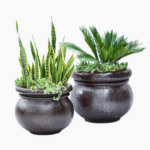 Vivaldi Fibre Cement Pot Round – classic style, available in multiple finishes and colours for indoor and outdoor plant décor.