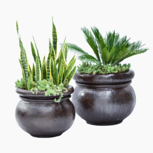 Vivaldi Fibre Cement Pot Round – classic style, available in multiple finishes and colours for indoor and outdoor plant décor.