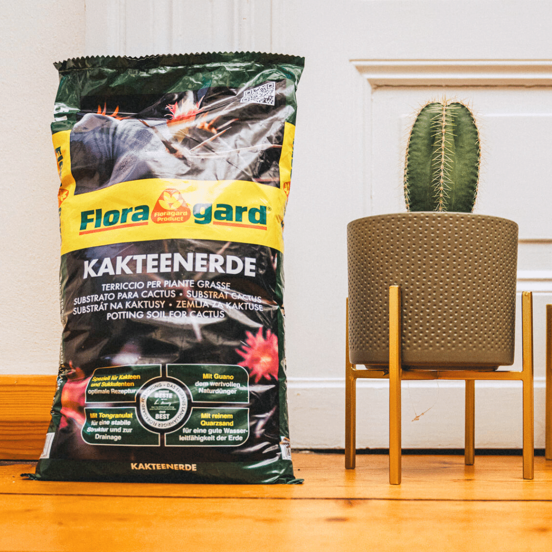 Floragard Cactus Potting Soil 5L | Premium Blend | Ideal for Cacti &  Succulents  TerraHub