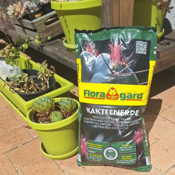 Floragard Cactus Potting Soil 5L | Premium Blend | Ideal for Cacti & Succulents - Image 2