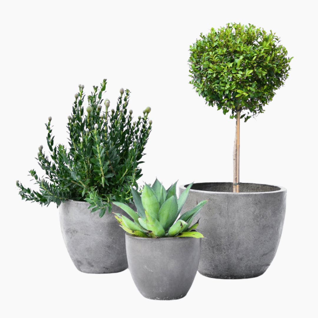 Melissa Fibre Cement Pot Melissa Fibre Cement Pot – classic style, available in 3 sizes and two colour finishes.