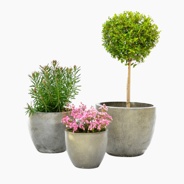 Melissa Fibre Cement Pot | Classic Style | Indoor & Outdoor Decorative Planters (3 Sizes) - Image 3
