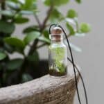 Terrarium Necklaces Short