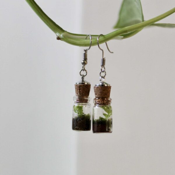 Terrarium Earrings - Image 3